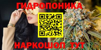 прущая мука Лесосибирск