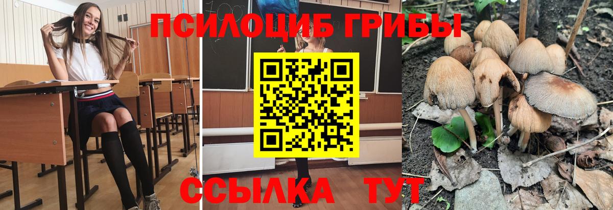 Псилоцибиновые грибы MAGIC MUSHROOMS Губкинский